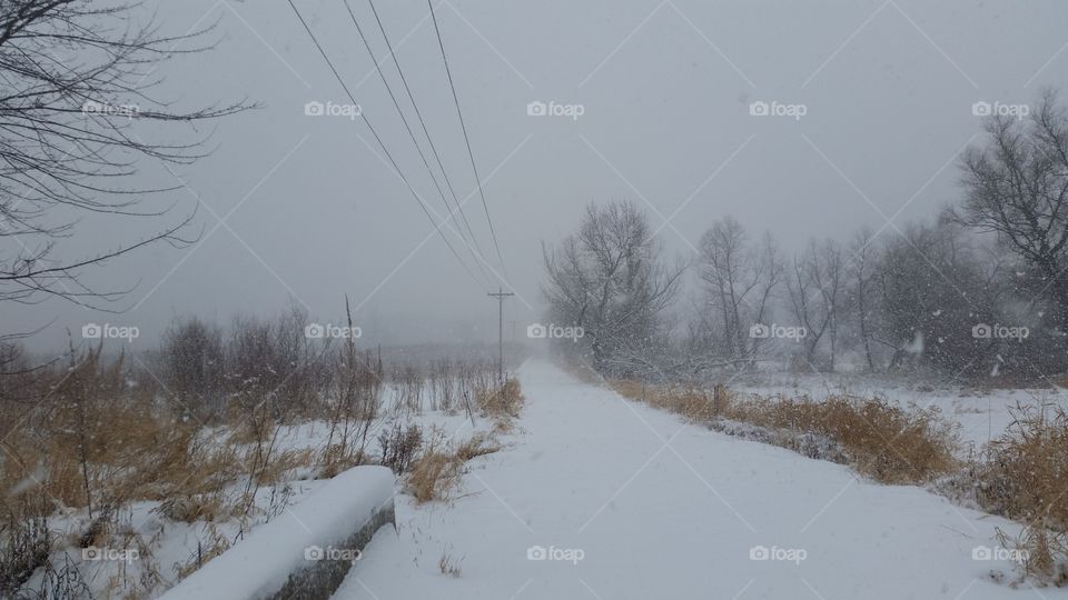 dirt road in a snow storm