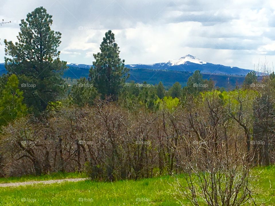 Mountain scene 