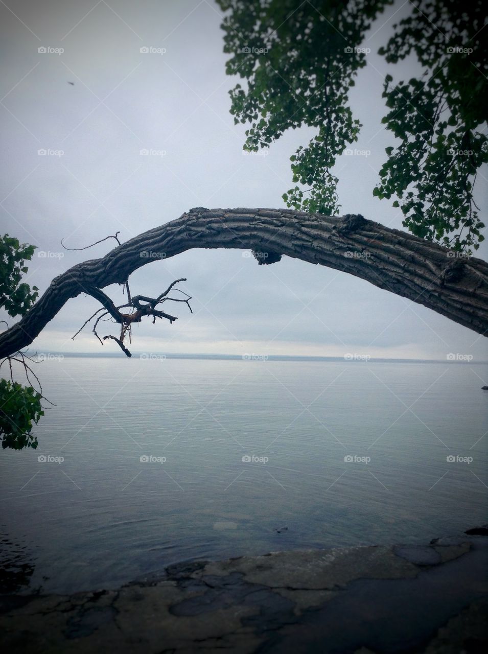 At the lake . A quiet day at Lake Erie.