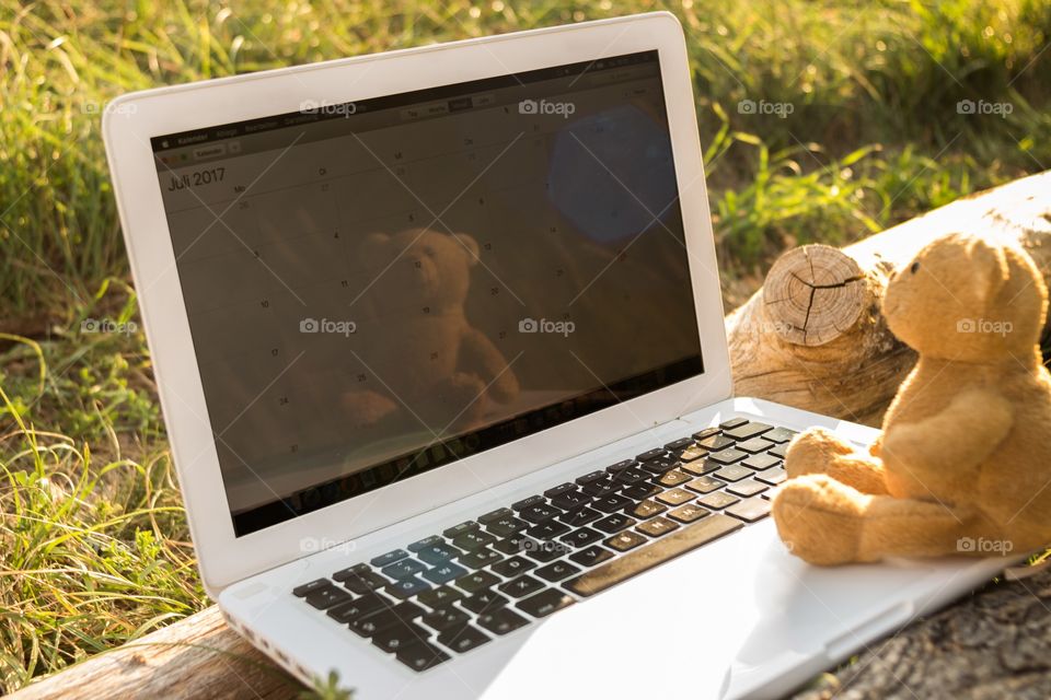 Teddy Bear sitting on a notebook 