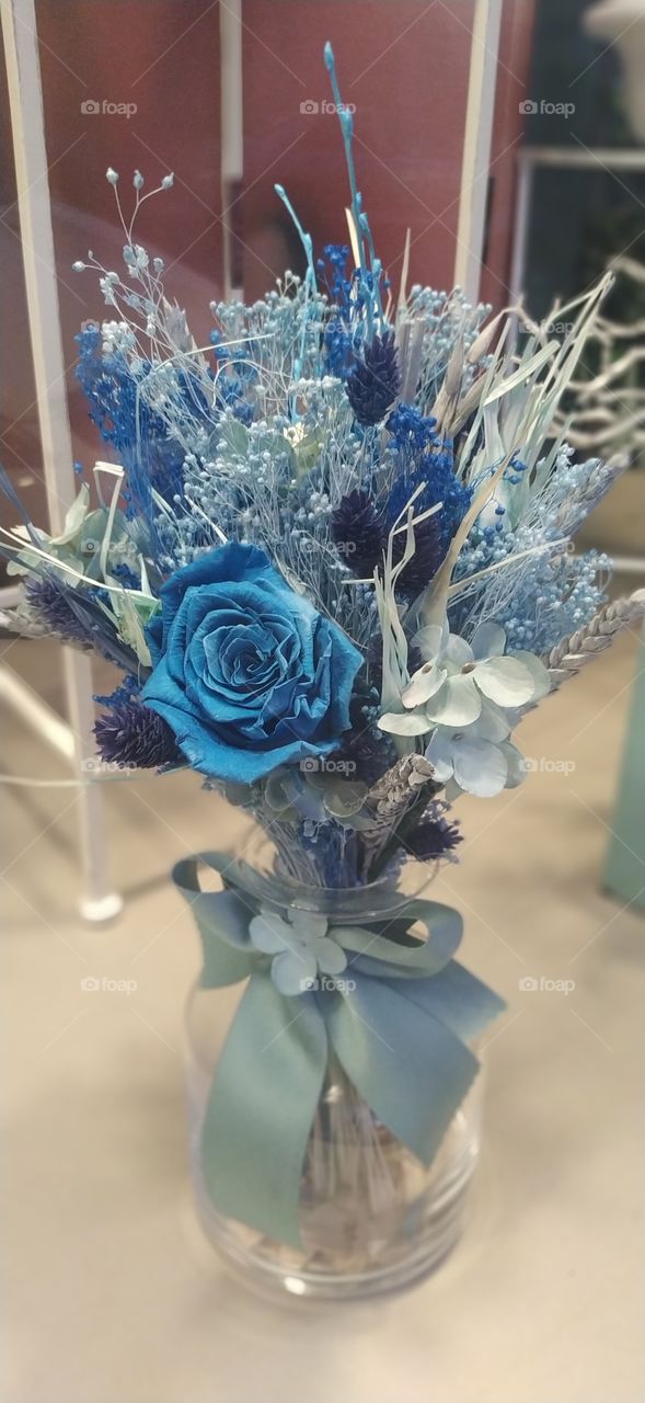 La vida en flores de 🎨