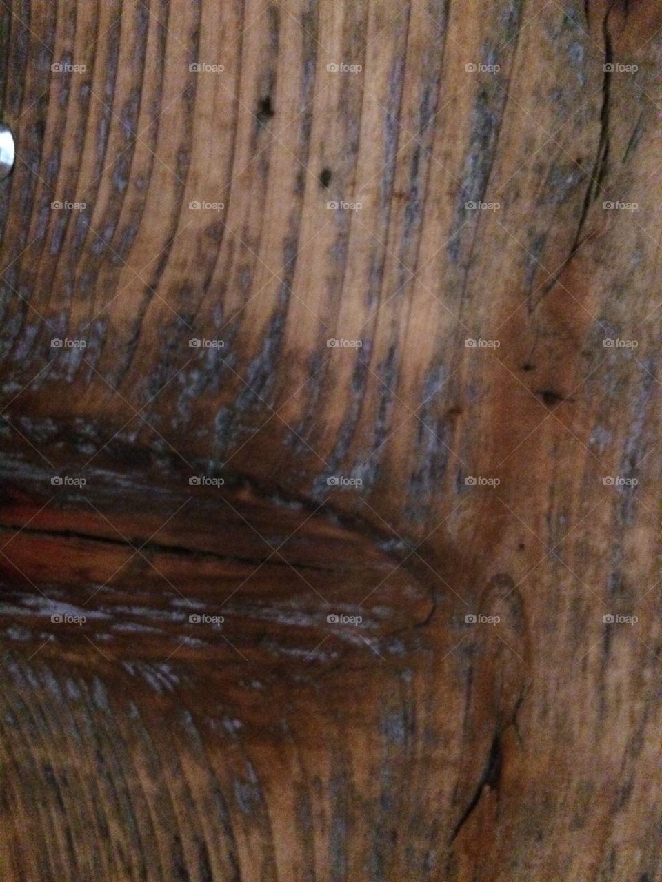 Wood, Log, Texture, Tree, Wooden