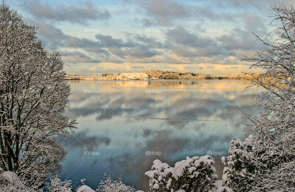 View of a lake during winter