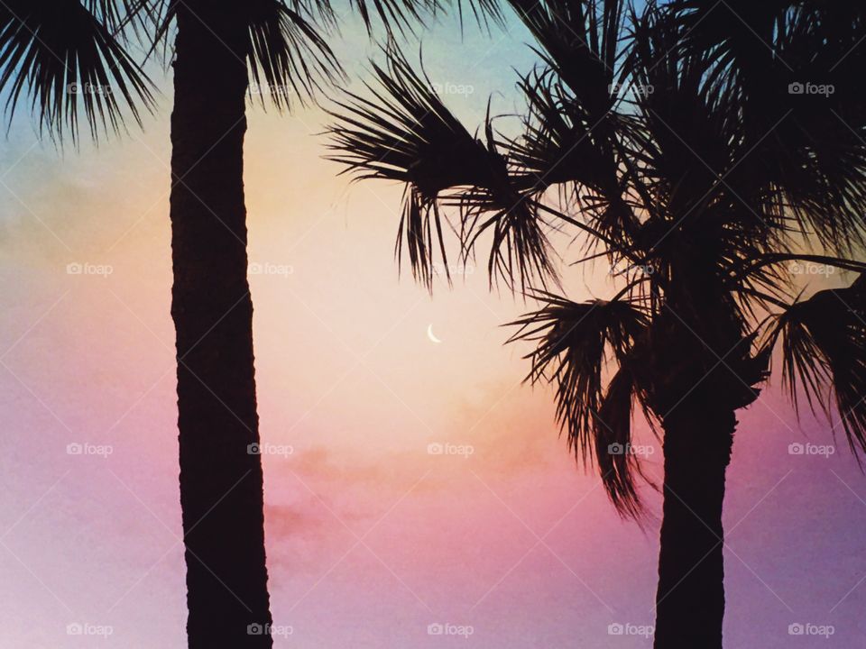 Scenic view of a sunrise