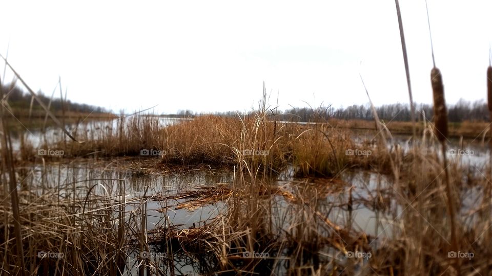 Duck hunter paradise