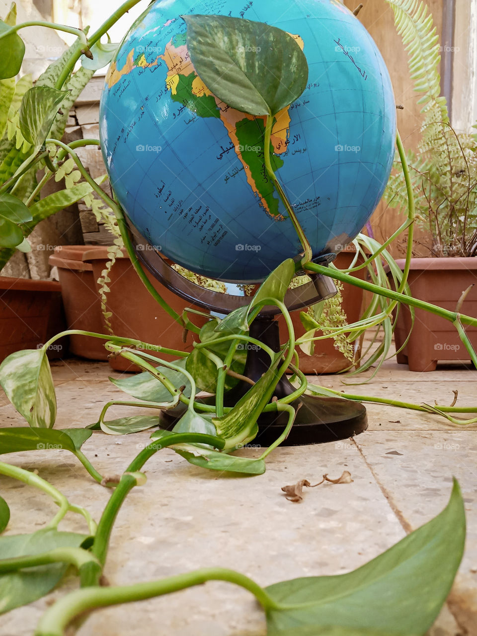 earth globe taken hostage by plants