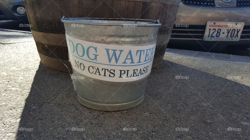 no cats!