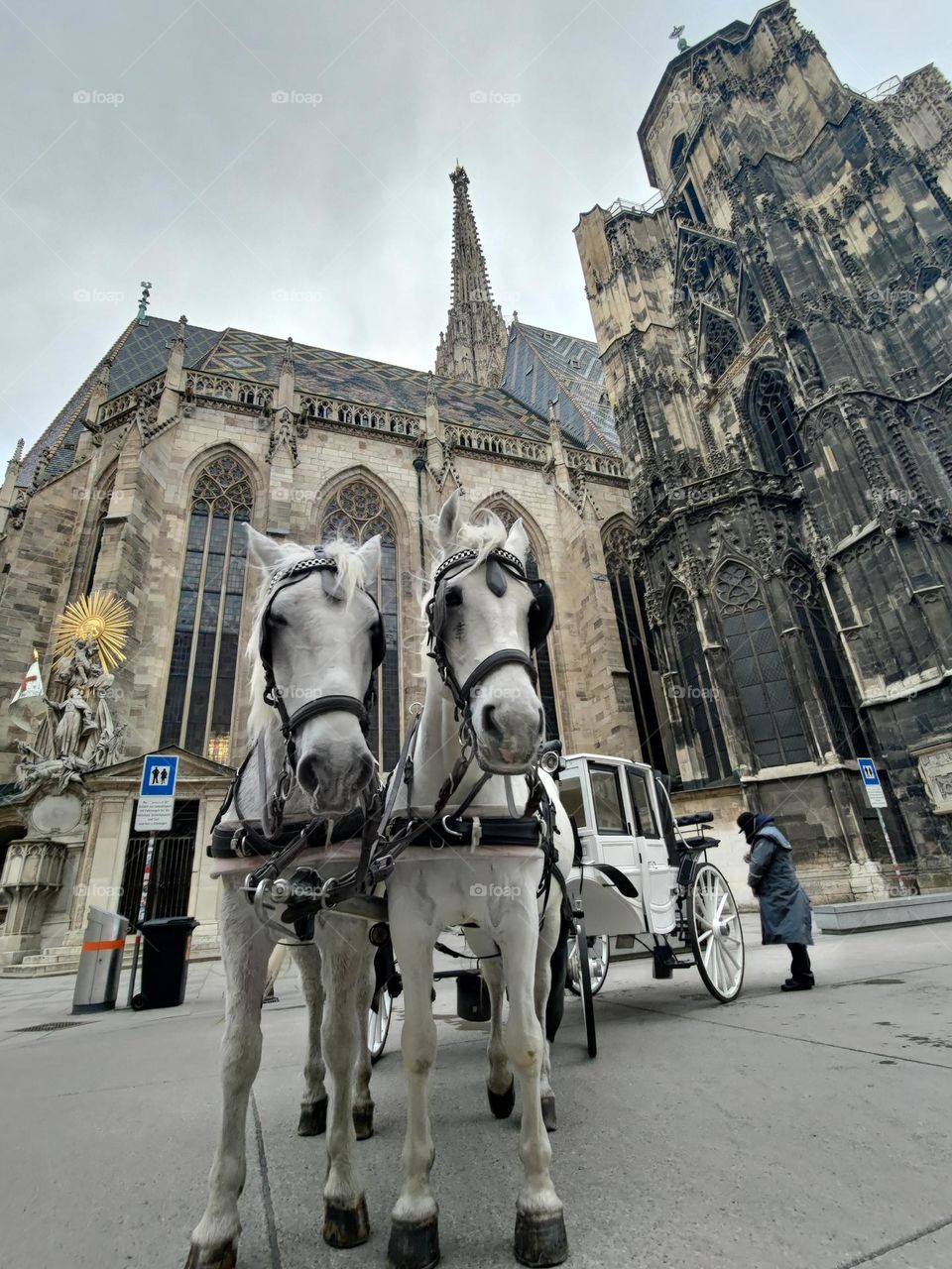 look at those cuties