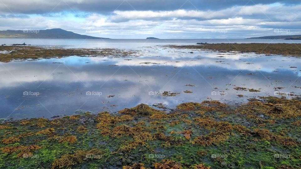 Reflection in the Shore water