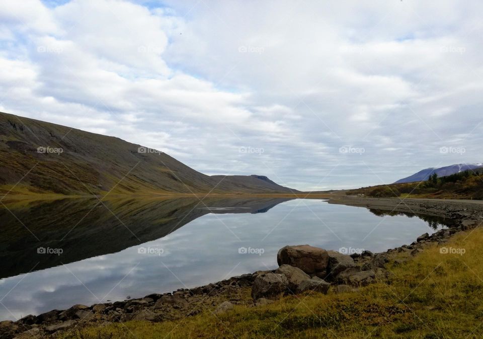 Reflevtion in the pond