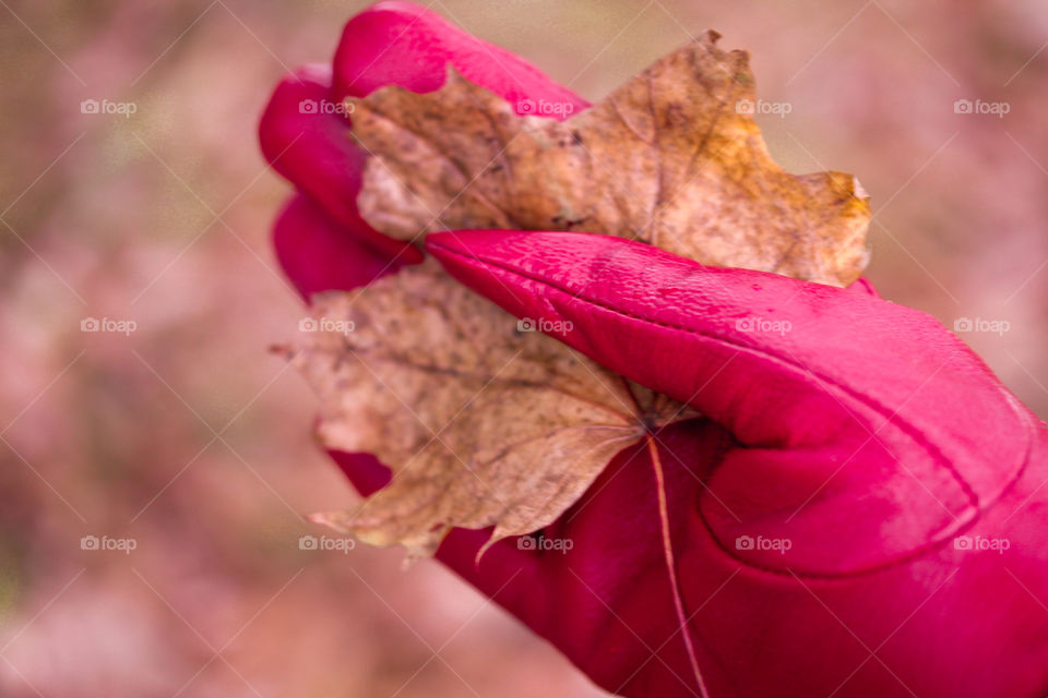 Brown leaf at the paln of a hand