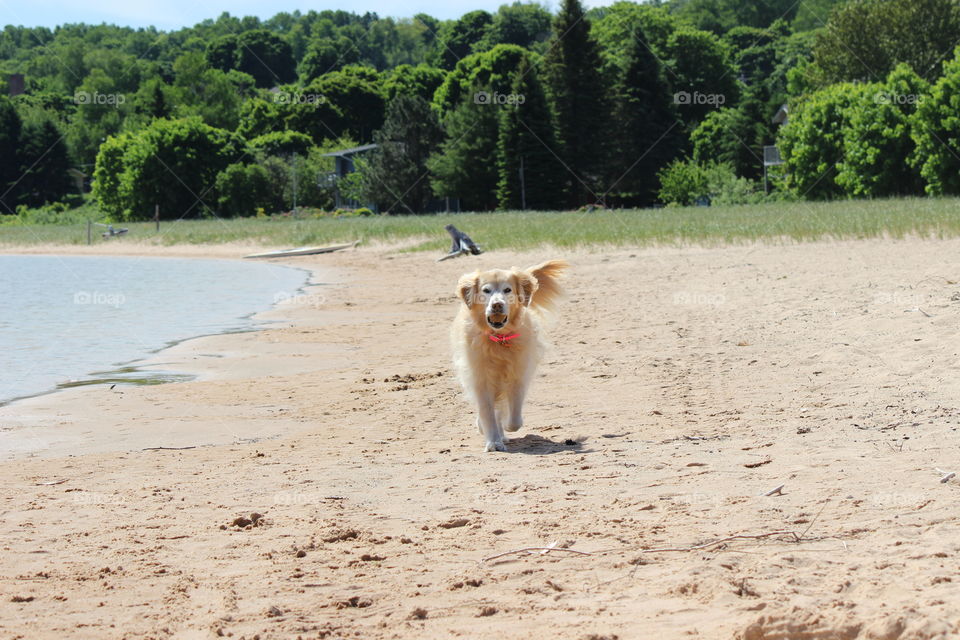 beach babe, playing ball on the beach
