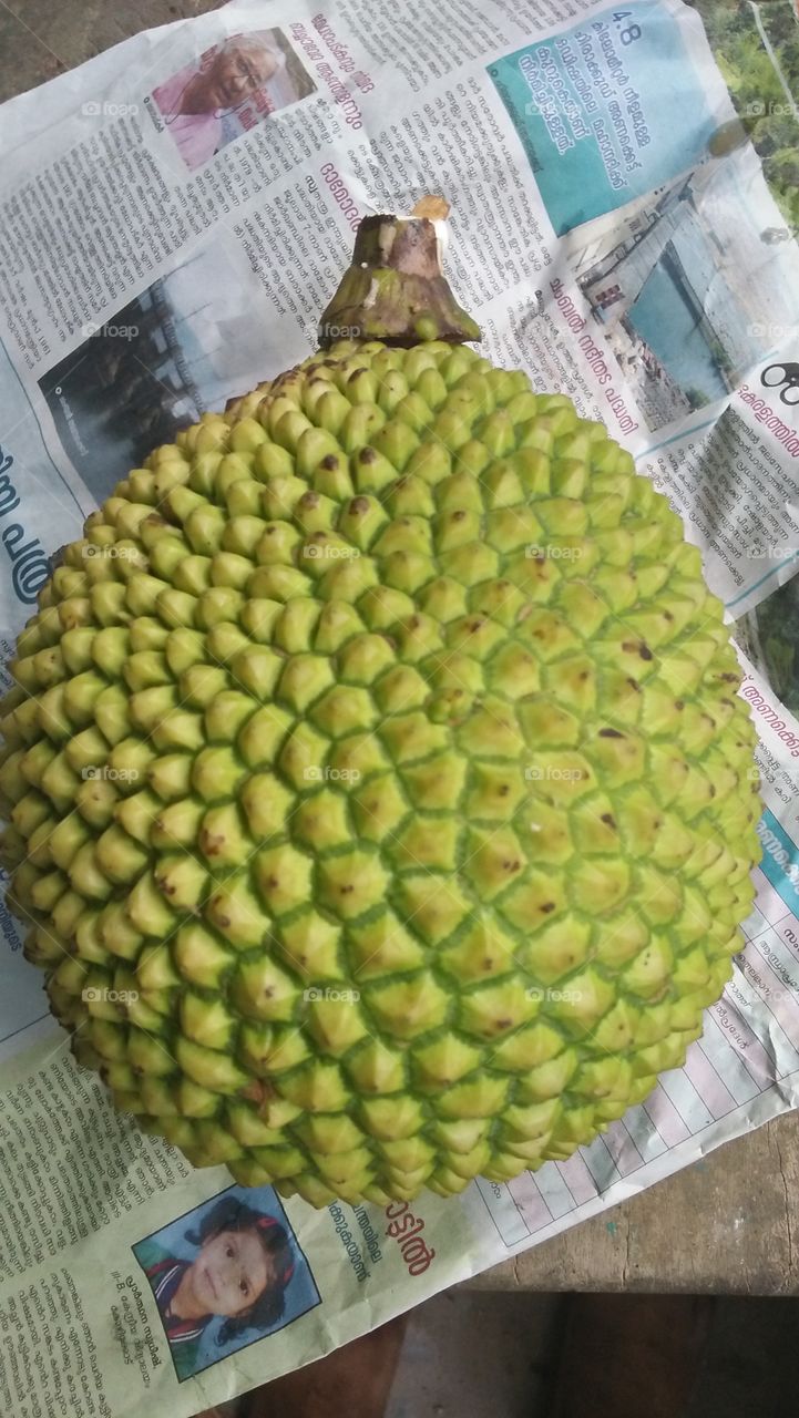 Jack Fruit