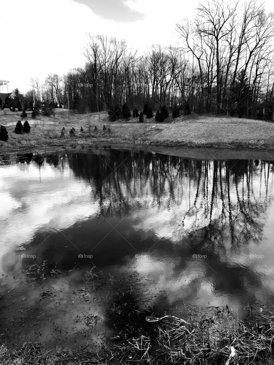 Pond in black and white