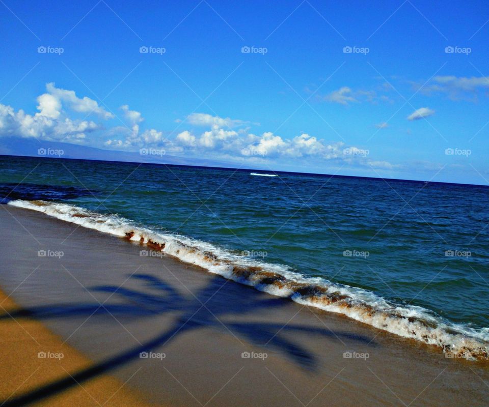 Shadow of palm tree on beach