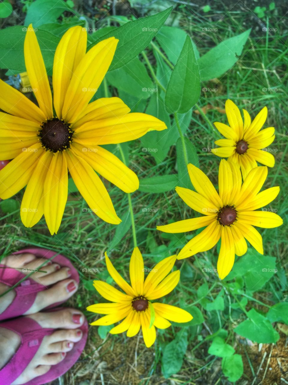 Feet with the Susans 