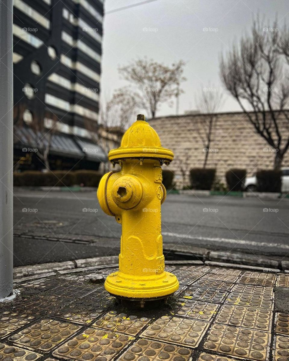 fire hydrant
