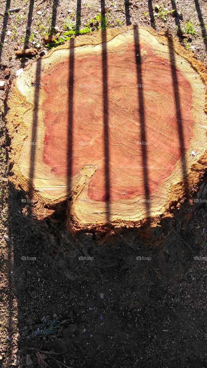 Old, Texture, Desktop, No Person, Wood