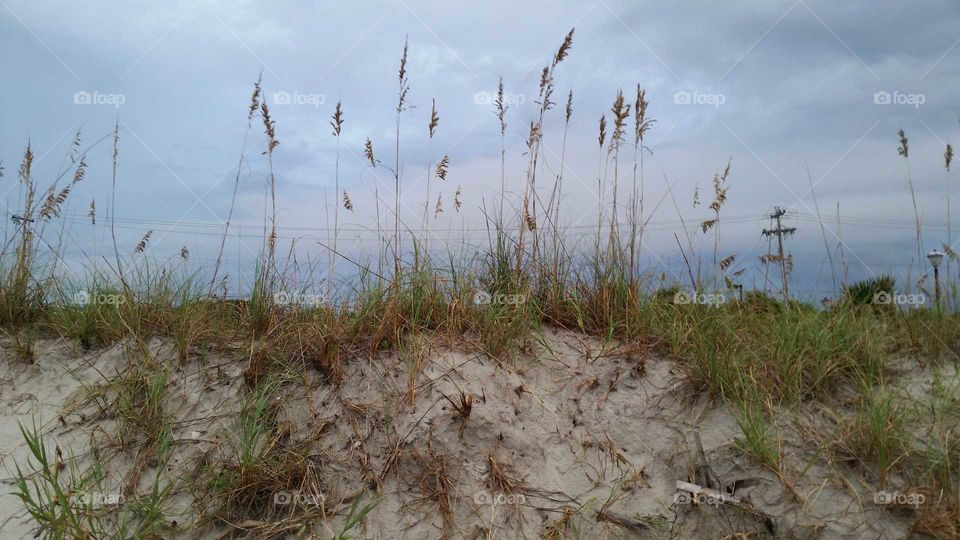 sand dunes