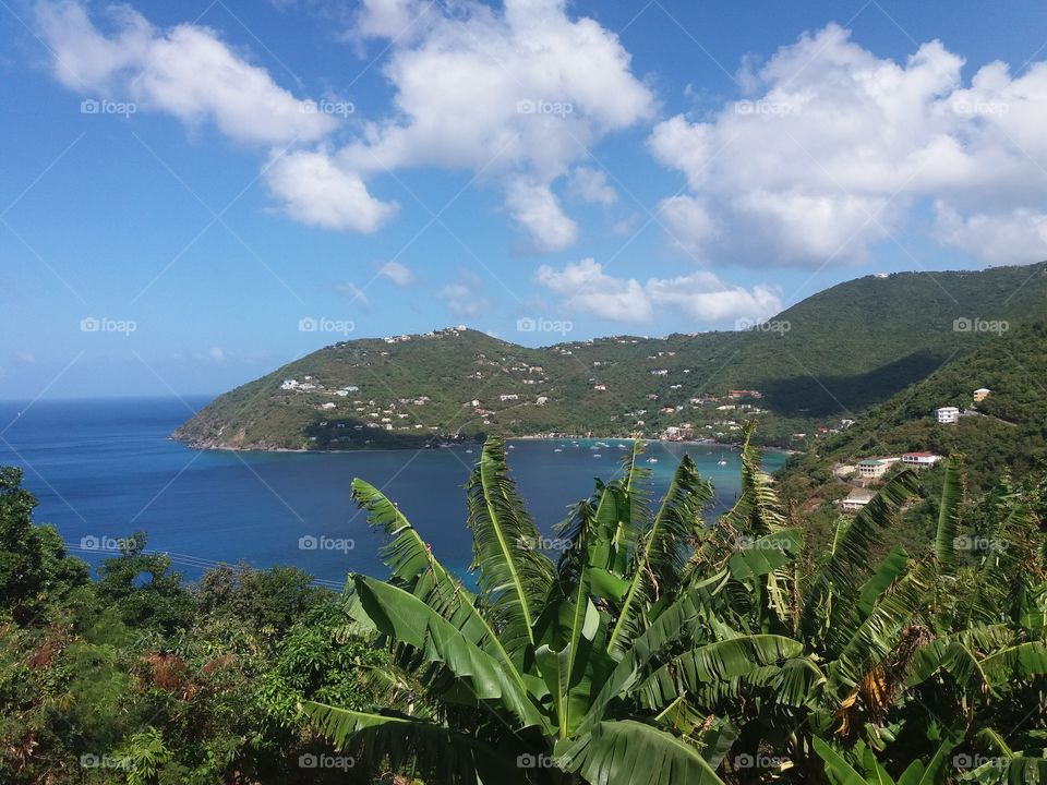 Tortola paradise