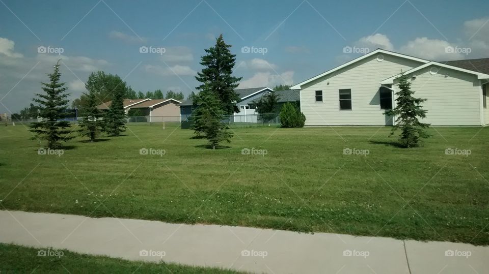 Home, Lawn, House, Grass, Tree