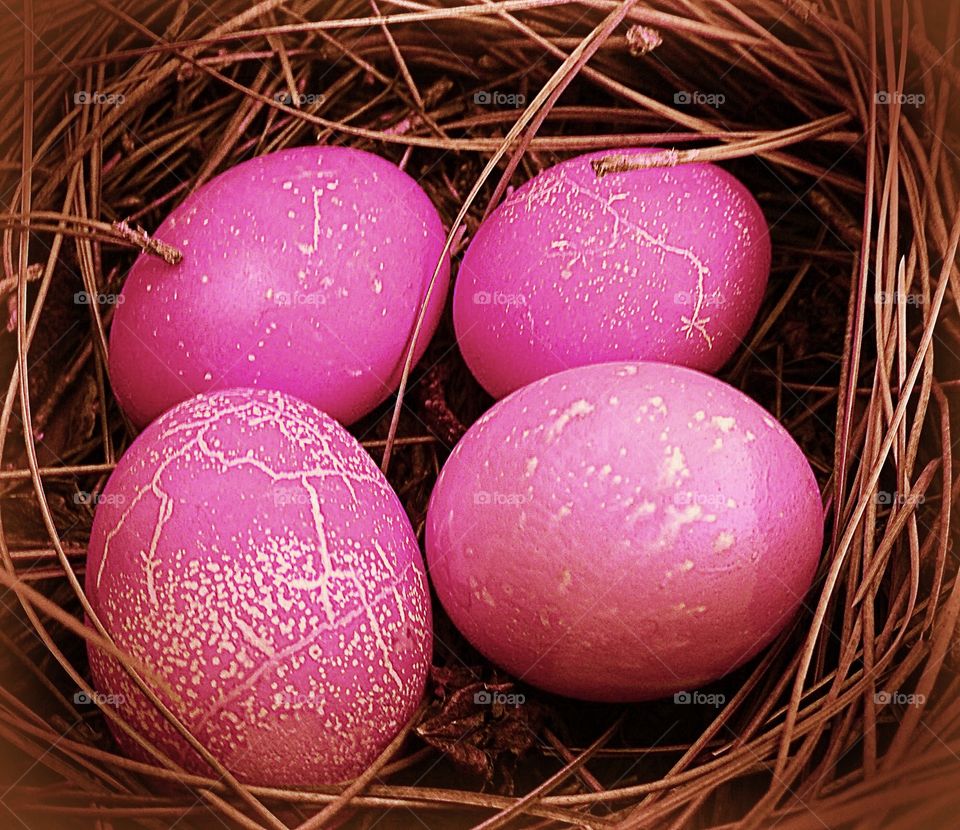 Lovely pink eggs in a nest.