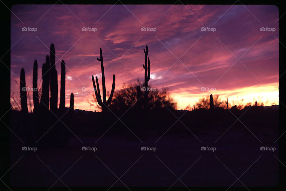 Sunset Arizona