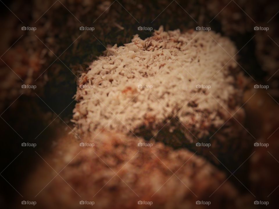 Handmade Chocolate Cocos Christmas Cookies