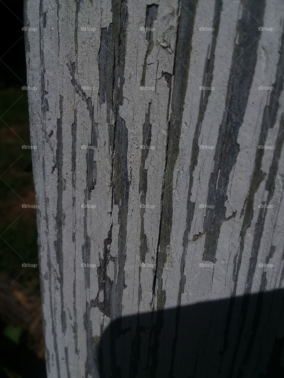 Old Picket Fence