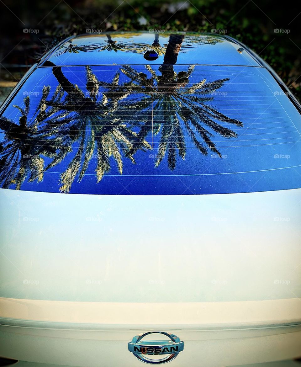 Black and White Nissan Top with Palm Trees