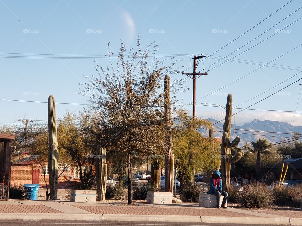 waiting at the bus stop
