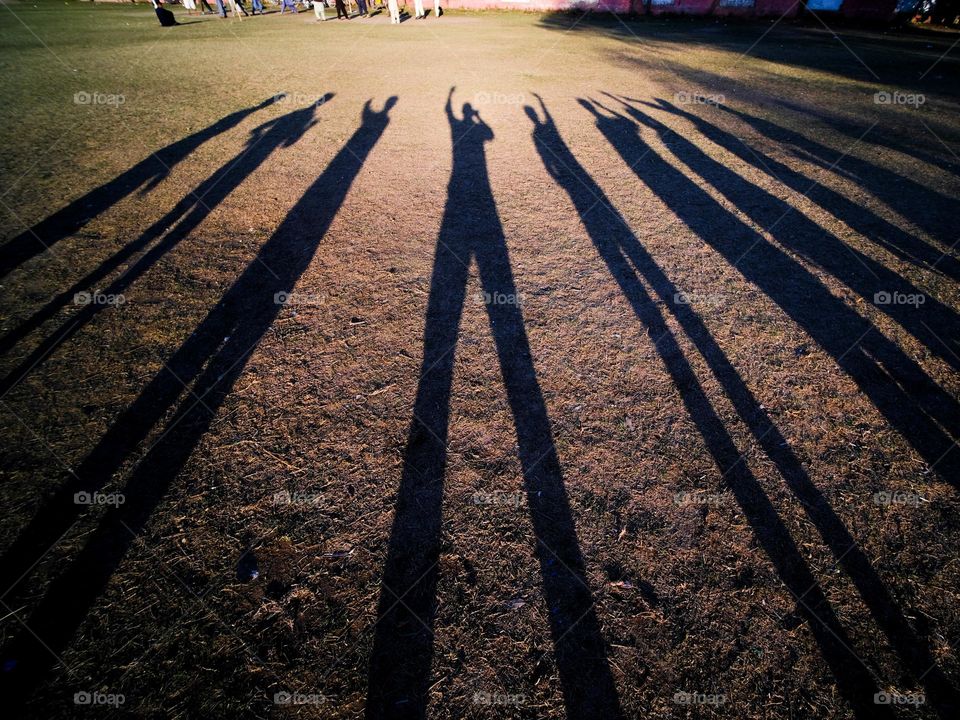 Our long shadows casted on a field by low spring time sun