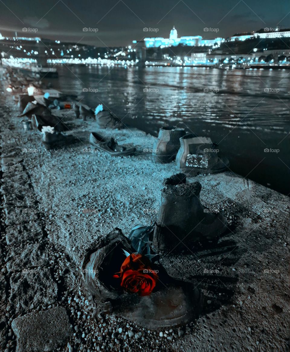 magenta flower in the shoes on the bank of the Danube