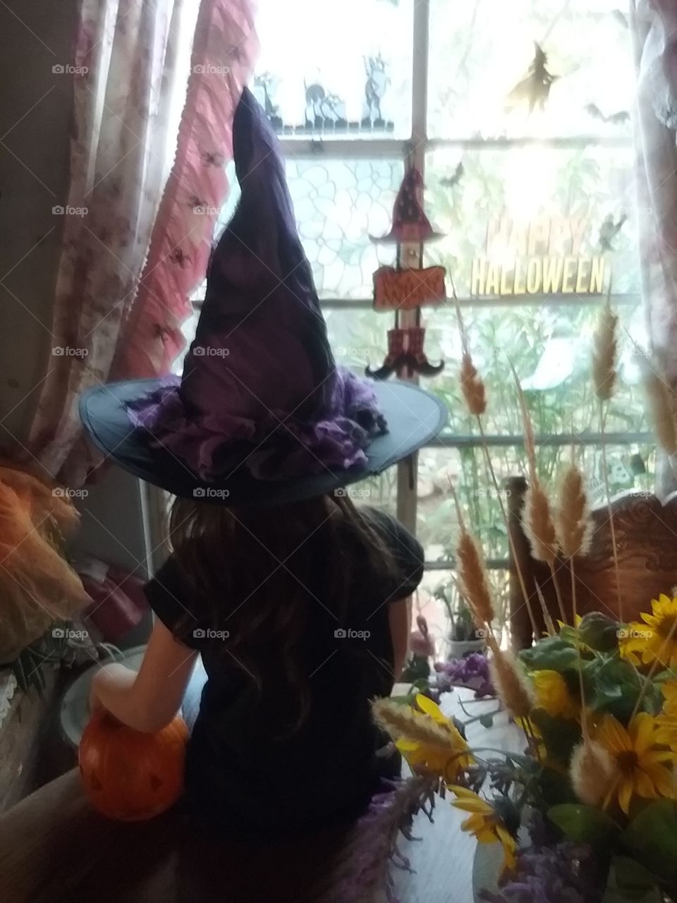 Holloween witch