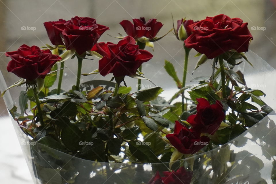 bouquet of roses. flowers