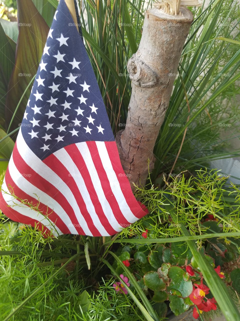 patriotic garden