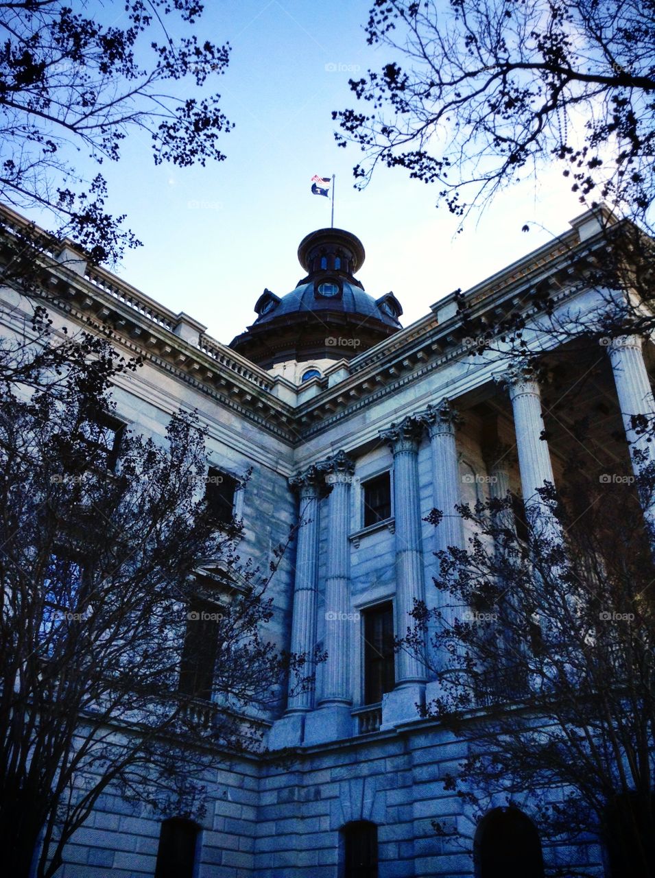 The Capitol in South Carolina . A look at the beautiful building in the centre of today's headline news.