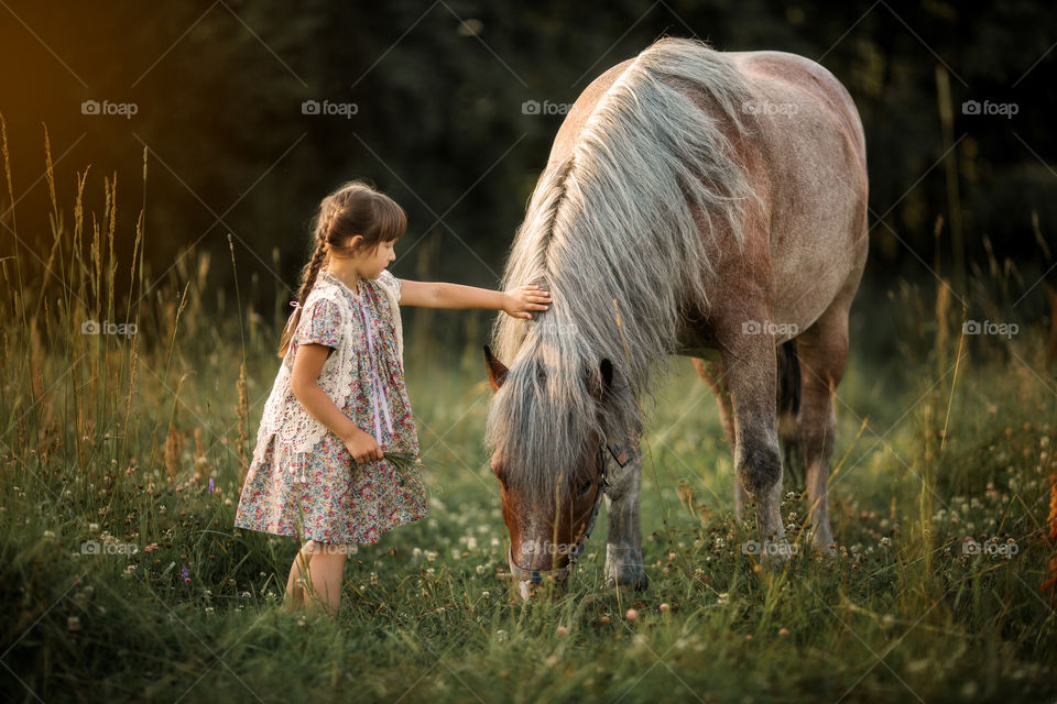 Little girl with horse at summer evening 