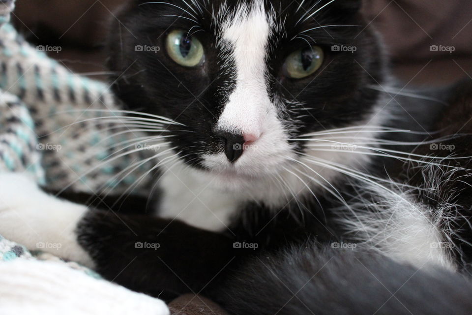 Up close and personal 