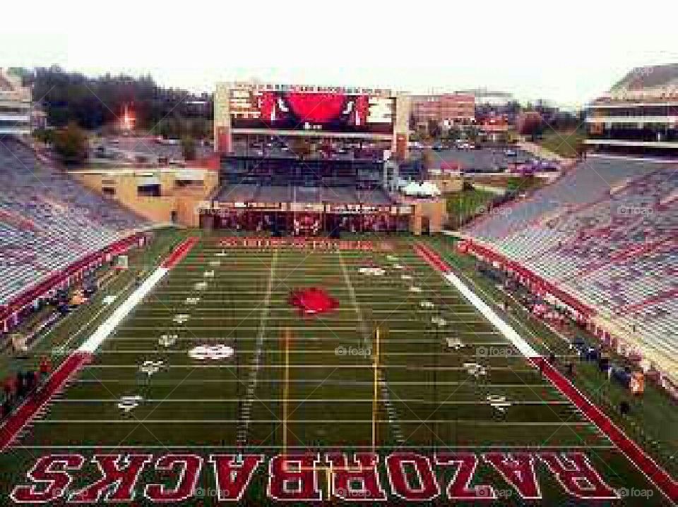Arkansas razorbacks