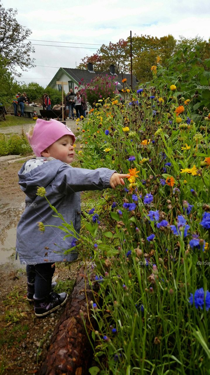 This is pretty. Daughter admiring the last flowers of the season