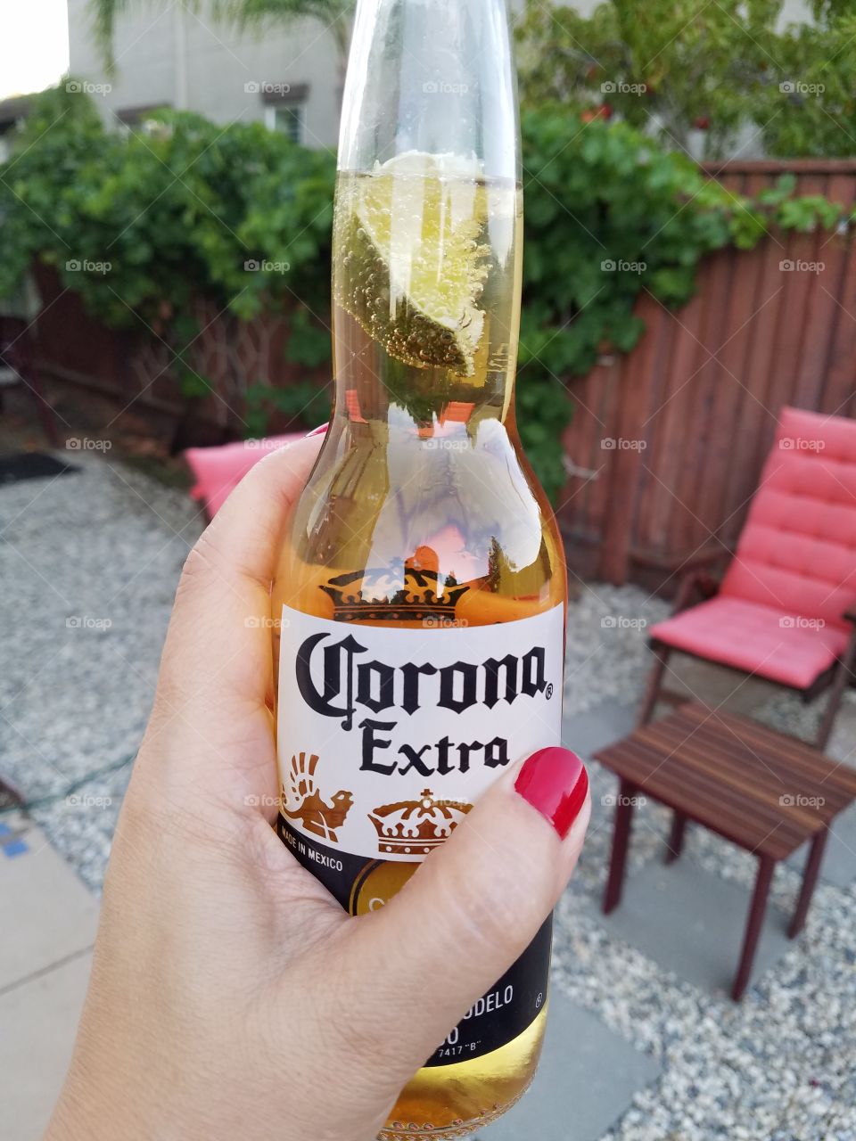 corona beer