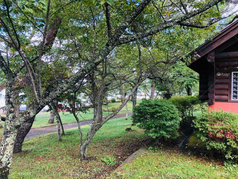 amazing natural garden in autumn season