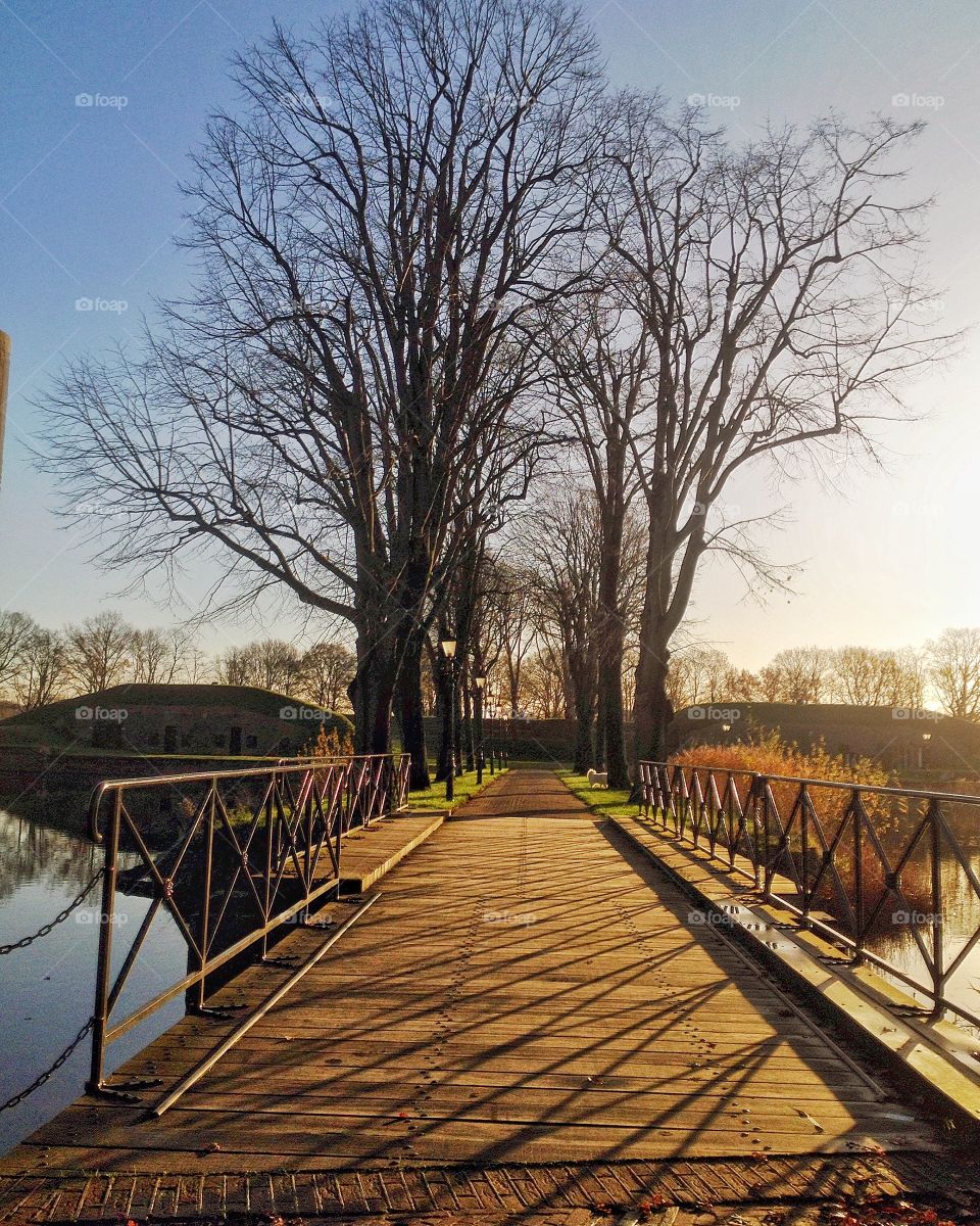 Dutch landscape series