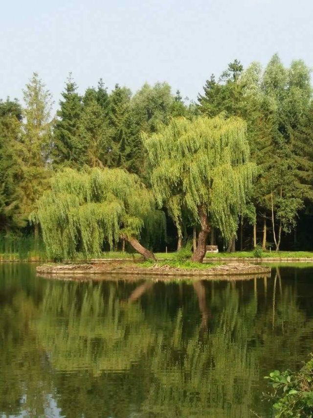 Water mirror