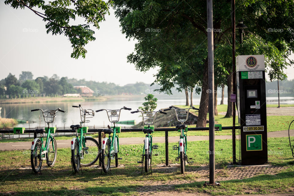 Bike for rent in the park 