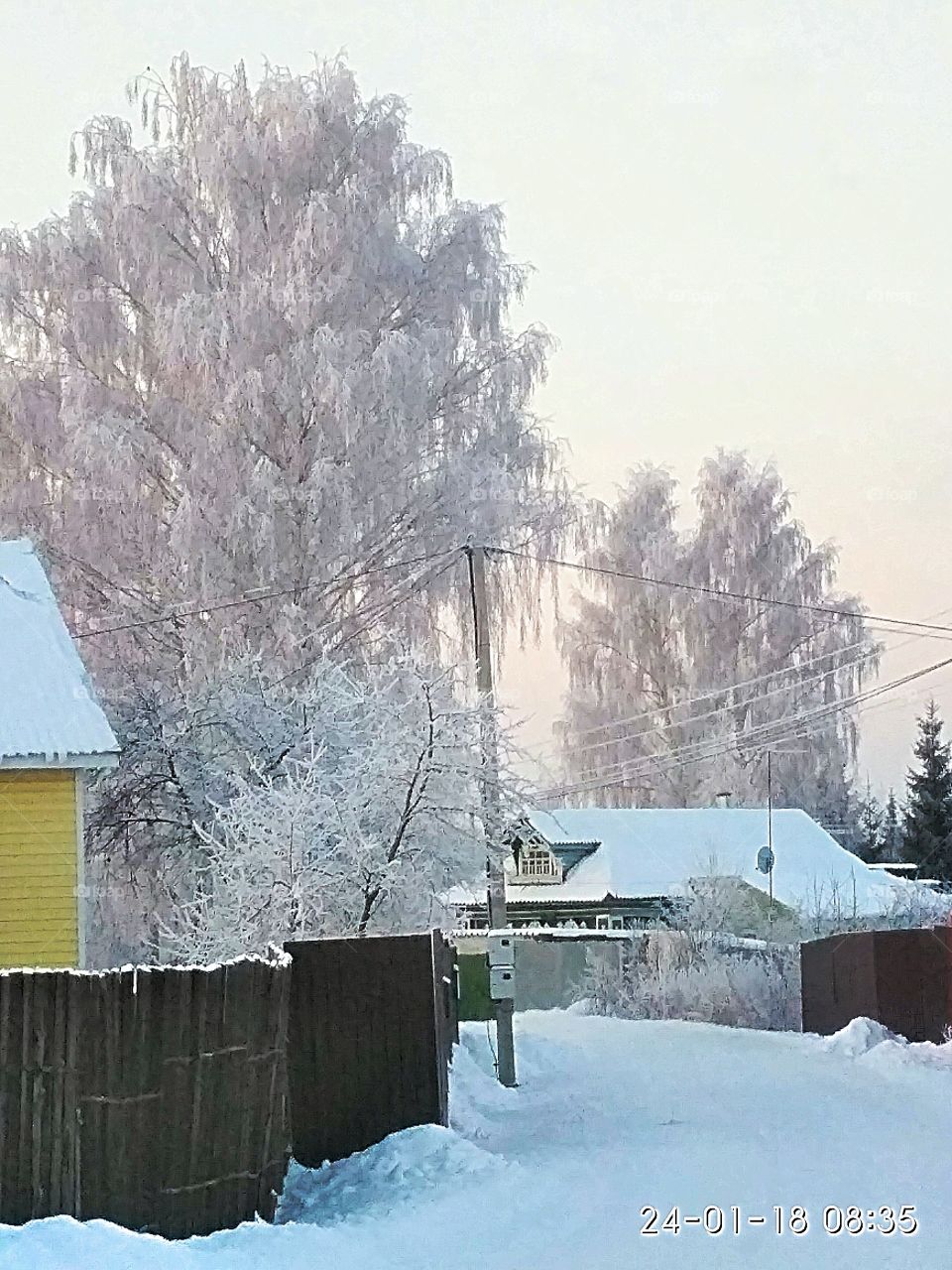 раннее, зимнее утро, деревня, деревья в иние, мороз,нежно-голубое небо,дома в снегу.