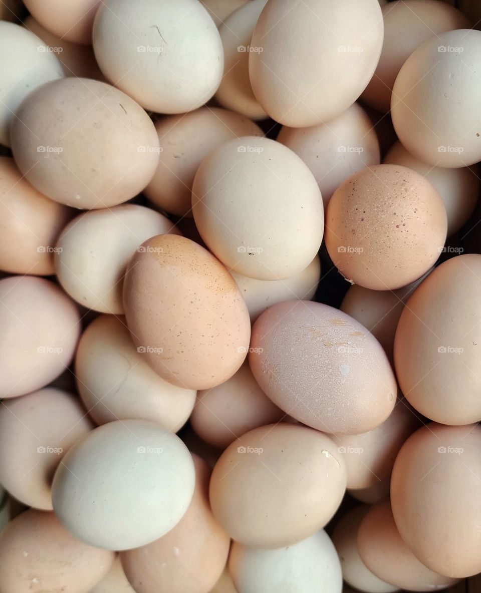 Farm fresh eggs