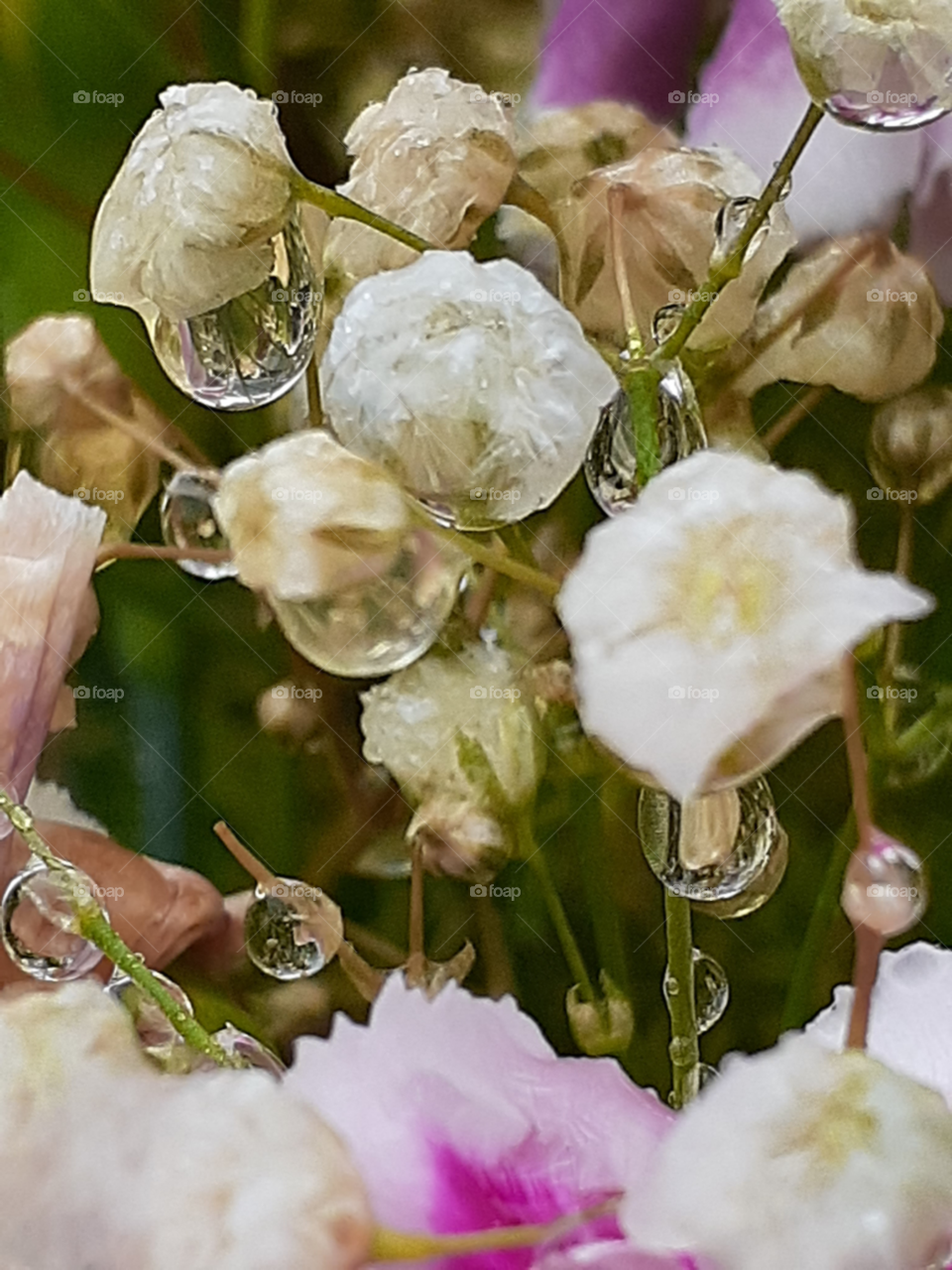 rainy drops on rainy days