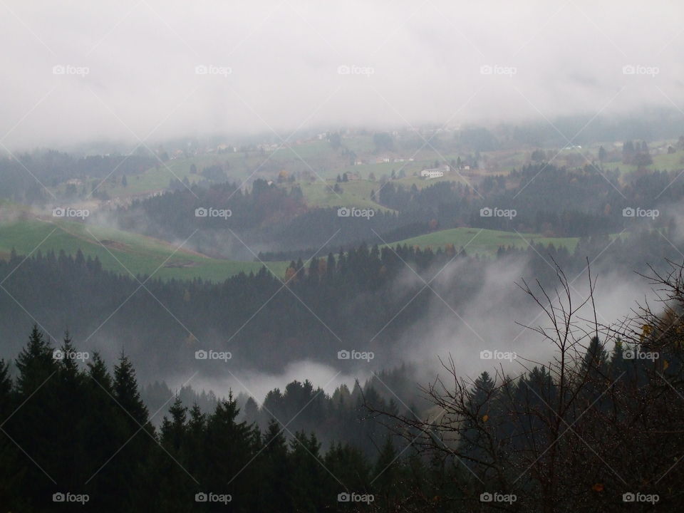 fog in the mountains